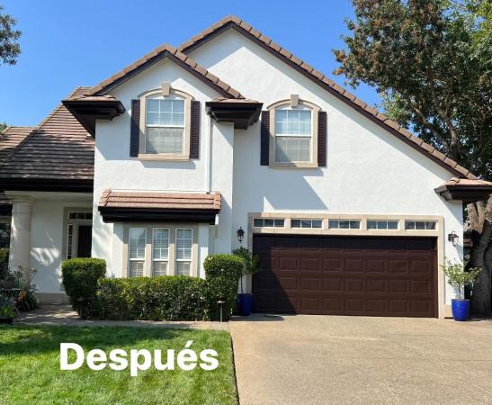 Exterior Repaint — Two-Story Stucco