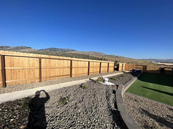 Fence Staining & Backyard Refresh